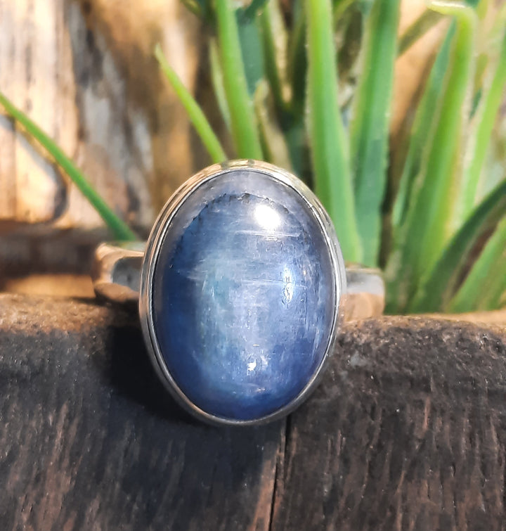 KYANITE RING SIZE 8.5(Q) GS9834