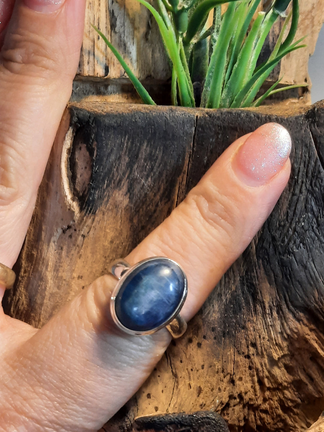 KYANITE RING SIZE 8.5(Q) GS9834