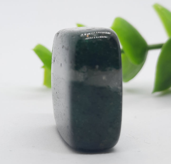 Fuchsite Tumbler Stone (9g) FCH3