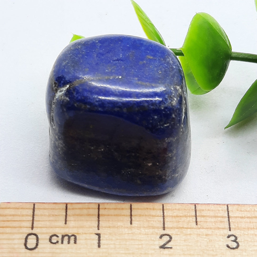 Lapis Lazuli Tumbler Stone 23(g) LPZ1