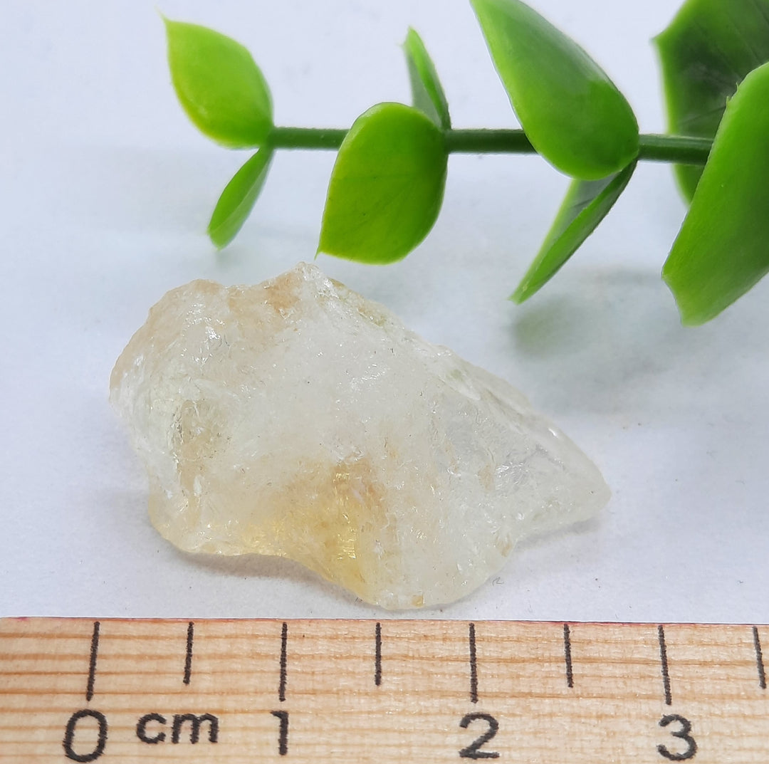 Citrine Rough (7G) CIT1