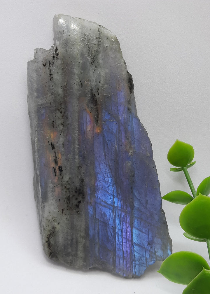 Labradorite (68 grams) STZ202