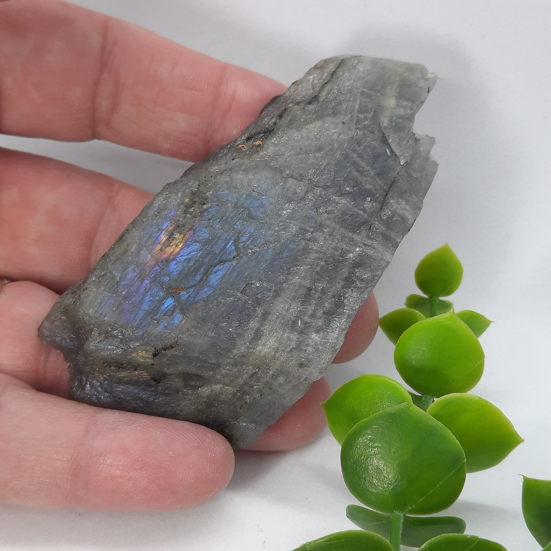 Labradorite (68 grams) STZ202