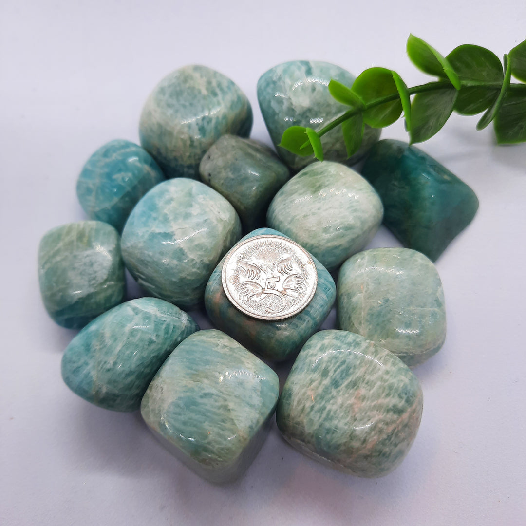 Amazonite Tumblers