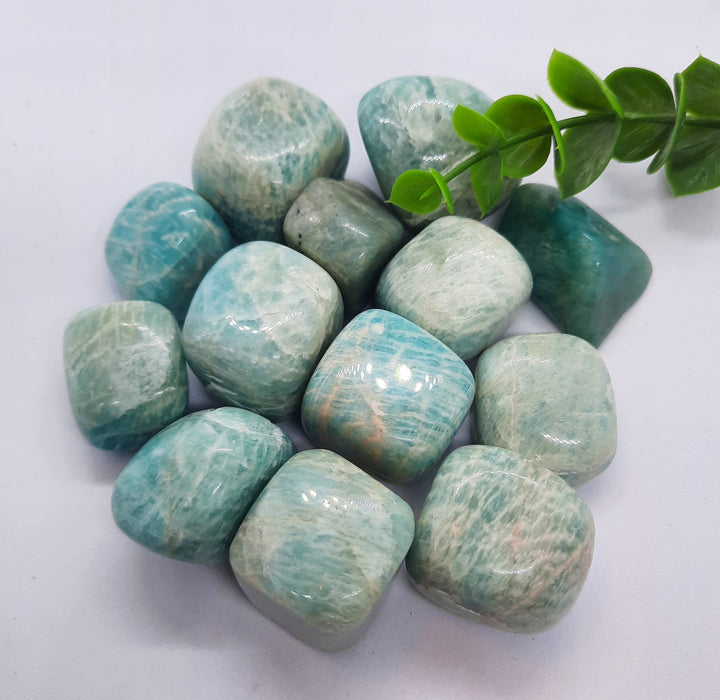 Amazonite Tumblers