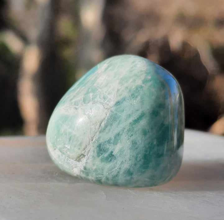 Amazonite Tumbler Stone (22g) AMZ4