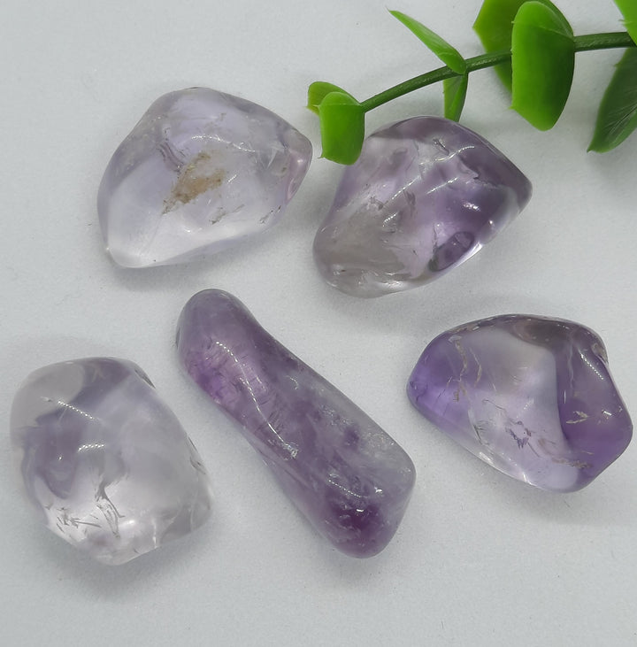 Amethyst (5 Pack)