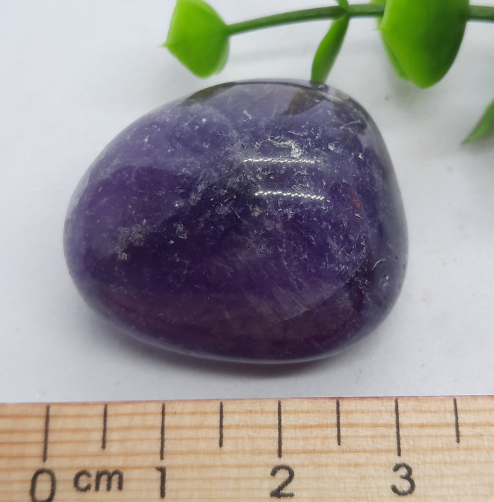 Amethyst Tumbler (24g) AMY2