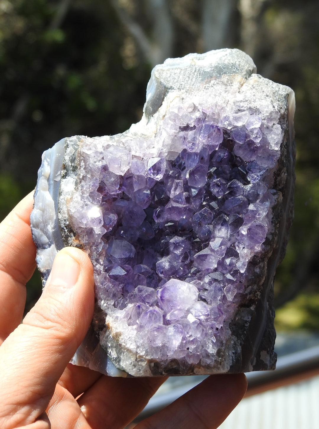 Amethyst Cluster (691 g)STZ244