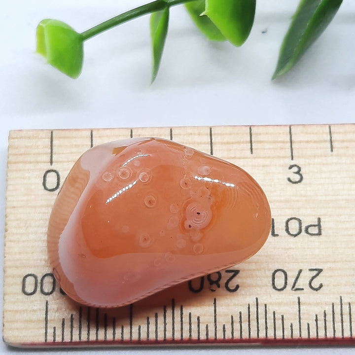 Agate (Australian) Tumbler Stone (12g) AG1