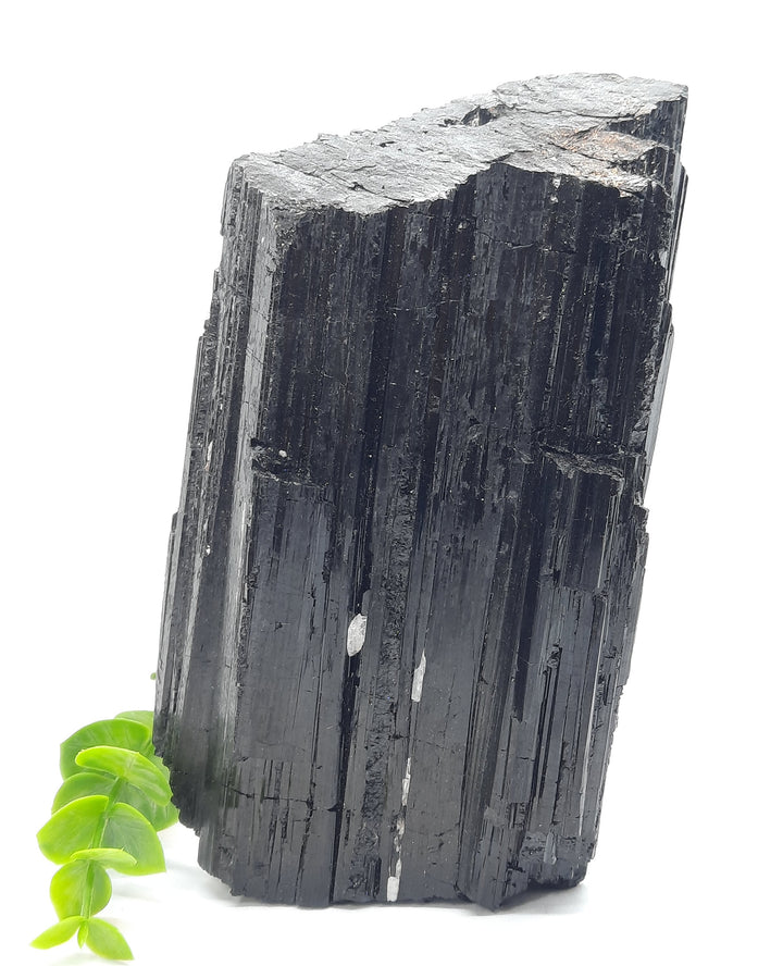 Black Tourmaline (745 grams) STZ920