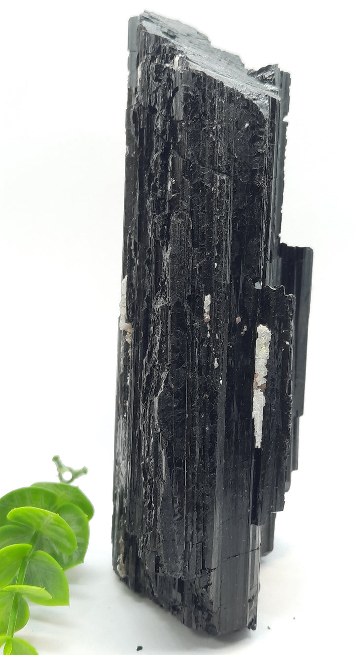 Black Tourmaline (745 grams) STZ920