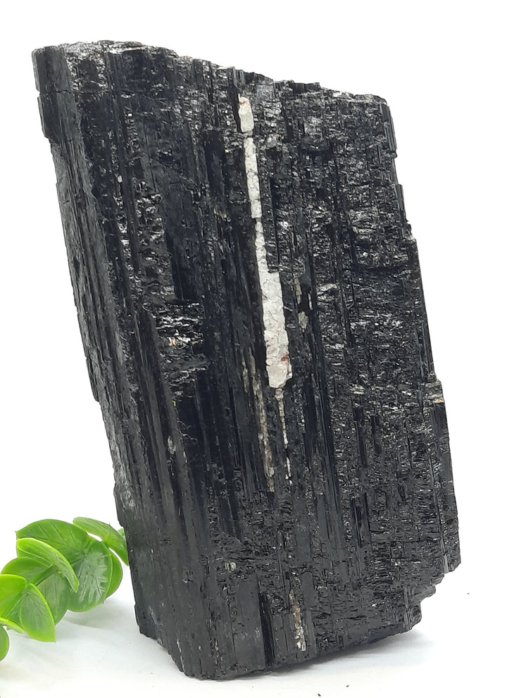 Black Tourmaline (745 grams) STZ920