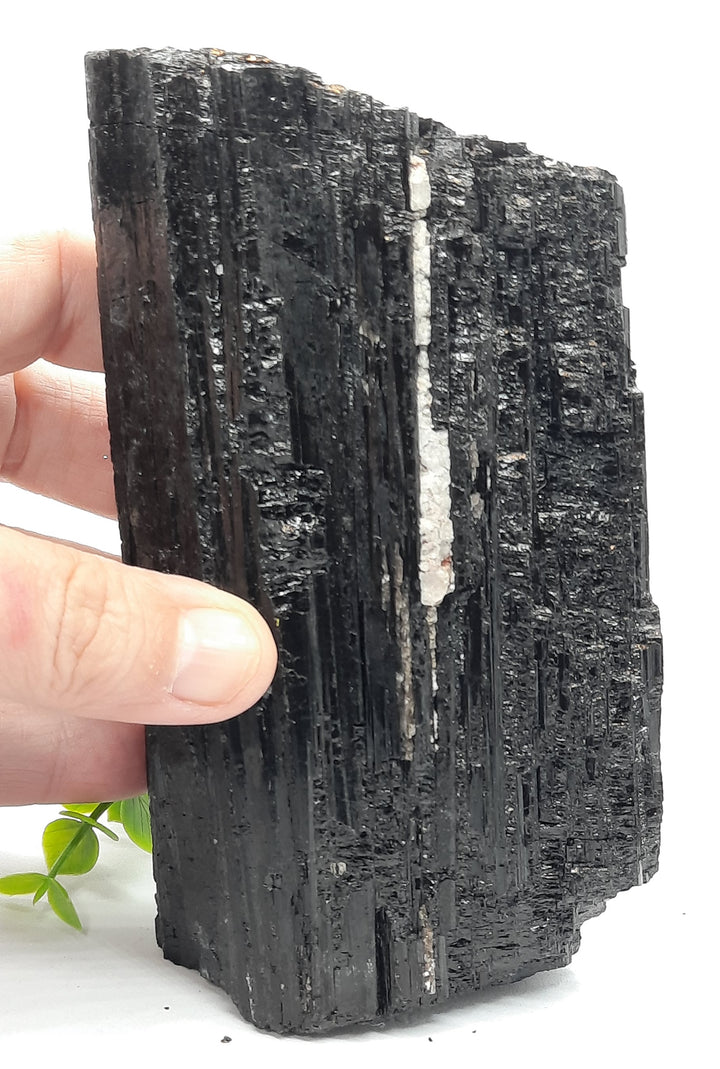 Black Tourmaline (745 grams) STZ920