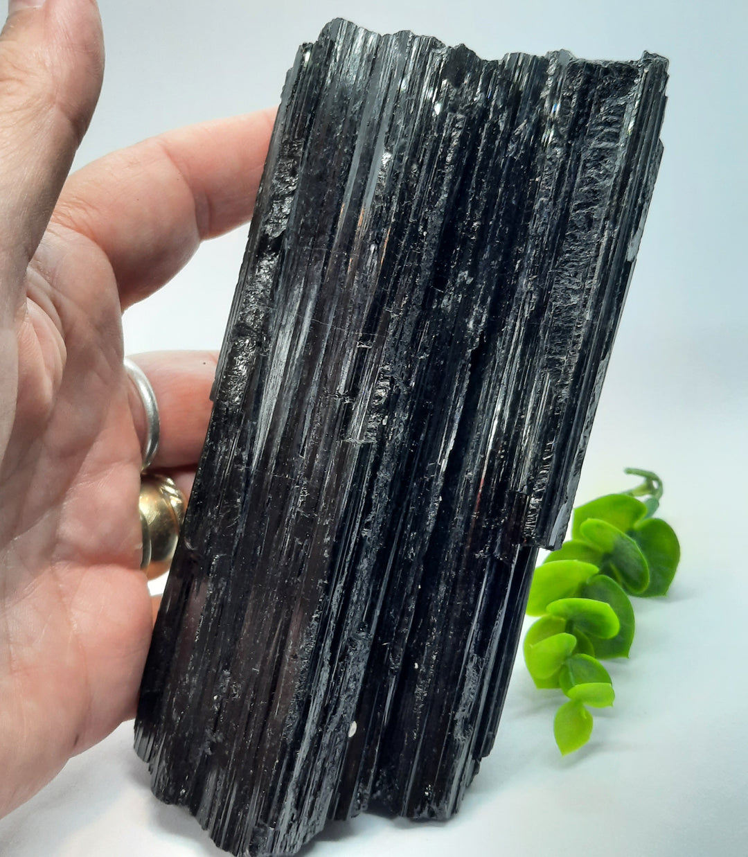 Black Tourmaline (709 grams) STZ921