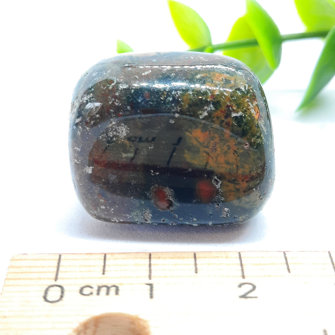 Bloodstone Tumbler Stone (19g) BS1