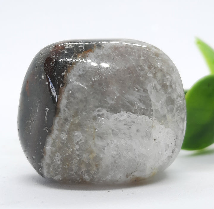 Bloodstone Tumbler Stone (19g) BS1