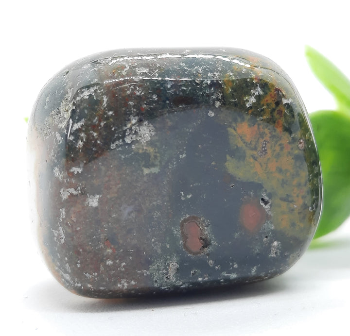 Bloodstone Tumbler Stone (19g) BS1