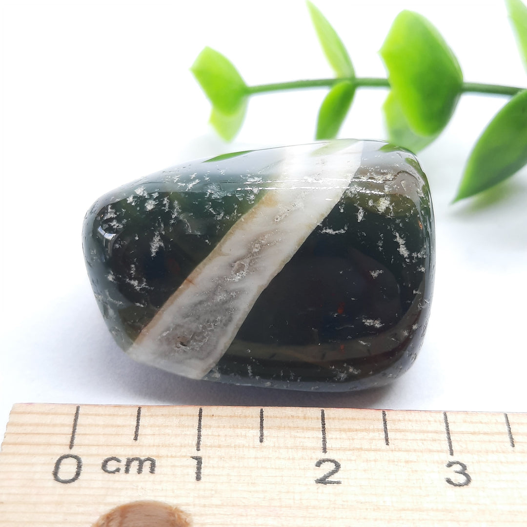 Bloodstone Tumbler Stone (23g) BS2