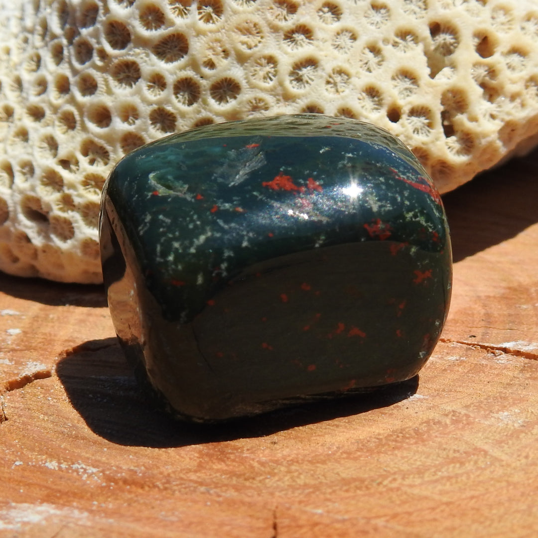 BLOODSTONE TUMBLE STONE (22G) BS4