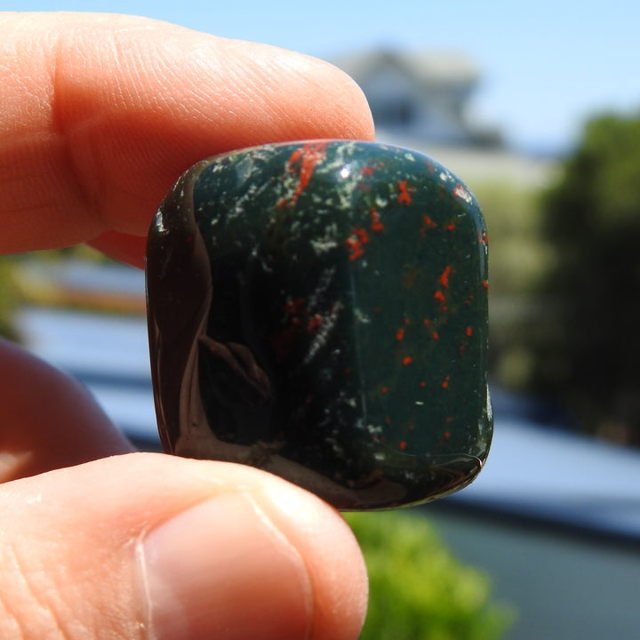 BLOODSTONE TUMBLE STONE (22G) BS4