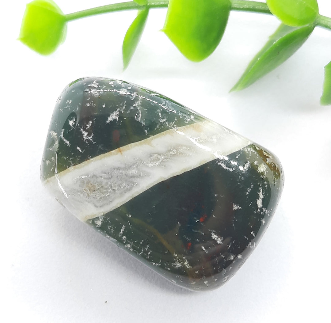 Bloodstone Tumbler Stone (23g) BS2