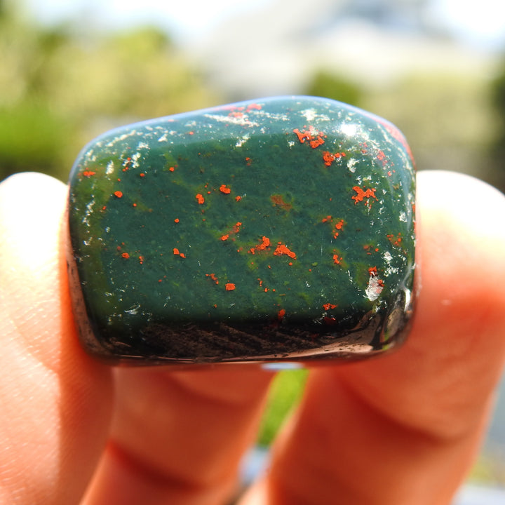 BLOODSTONE TUMBLE STONE (22G) BS4