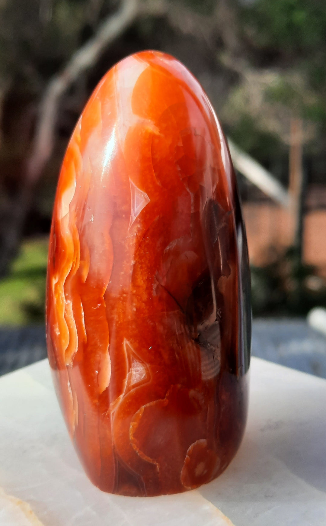 Carnelian (200 grams) STZ18