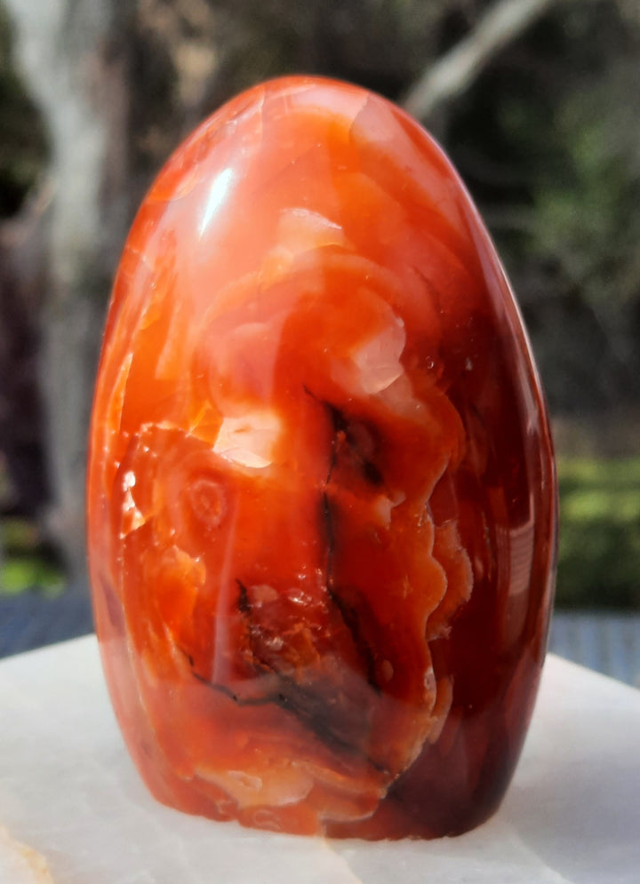 Carnelian (200 grams) STZ18