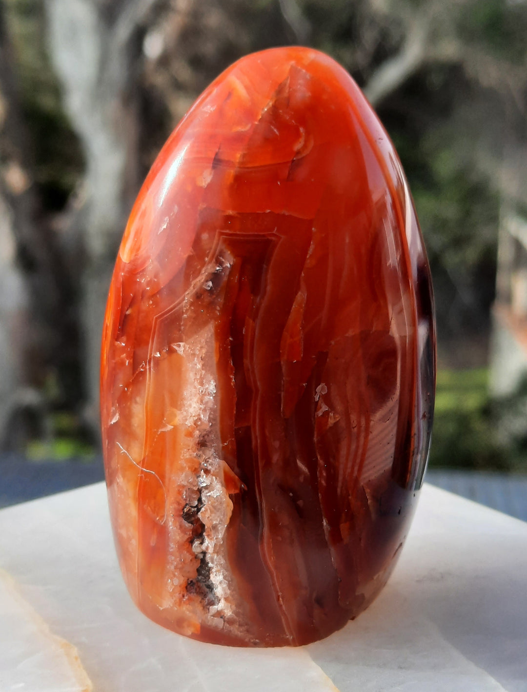 Carnelian (200 grams) STZ18