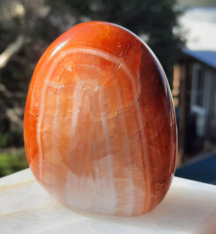 Carnelian (259 grams) STZ19