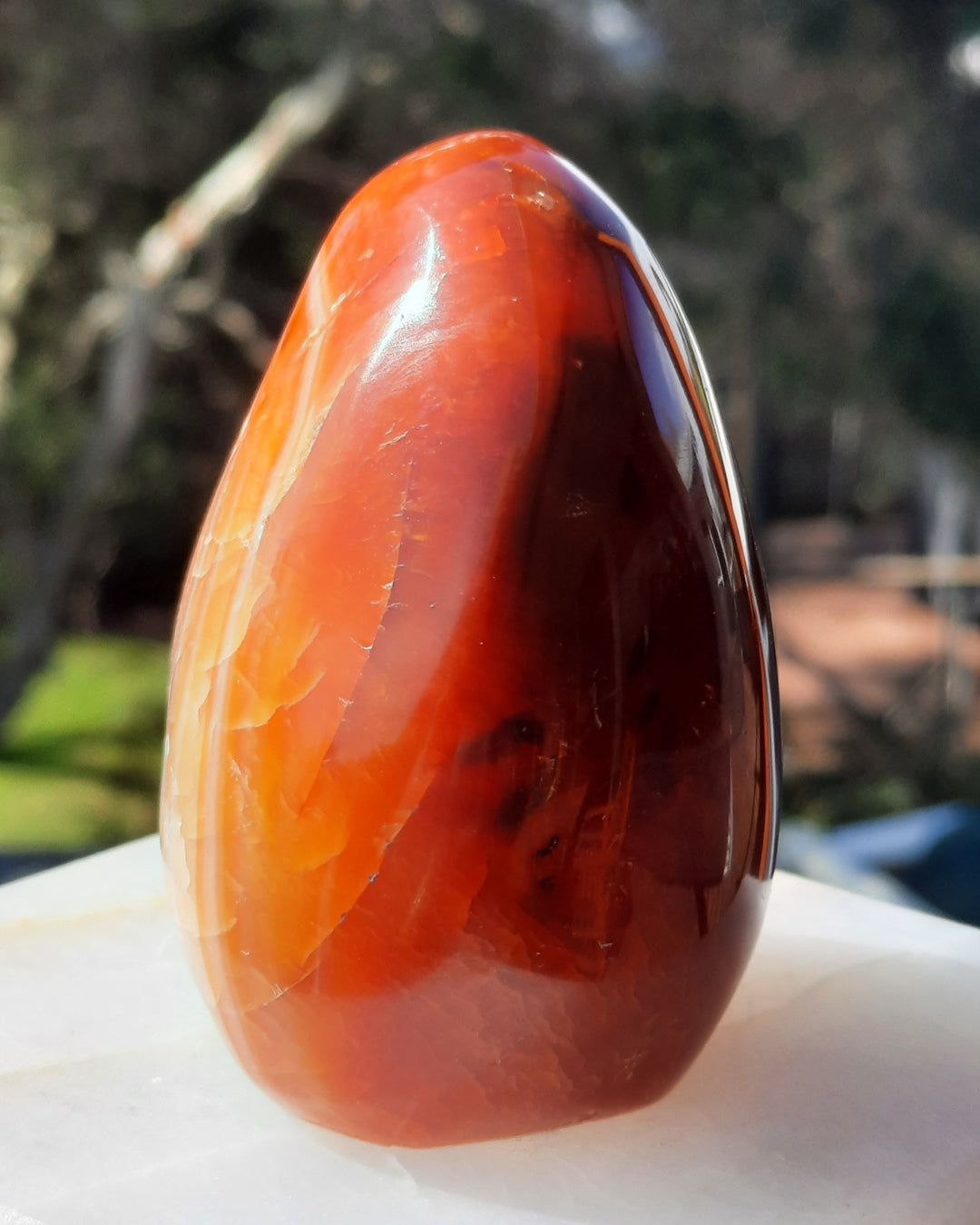 Carnelian (259 grams) STZ19