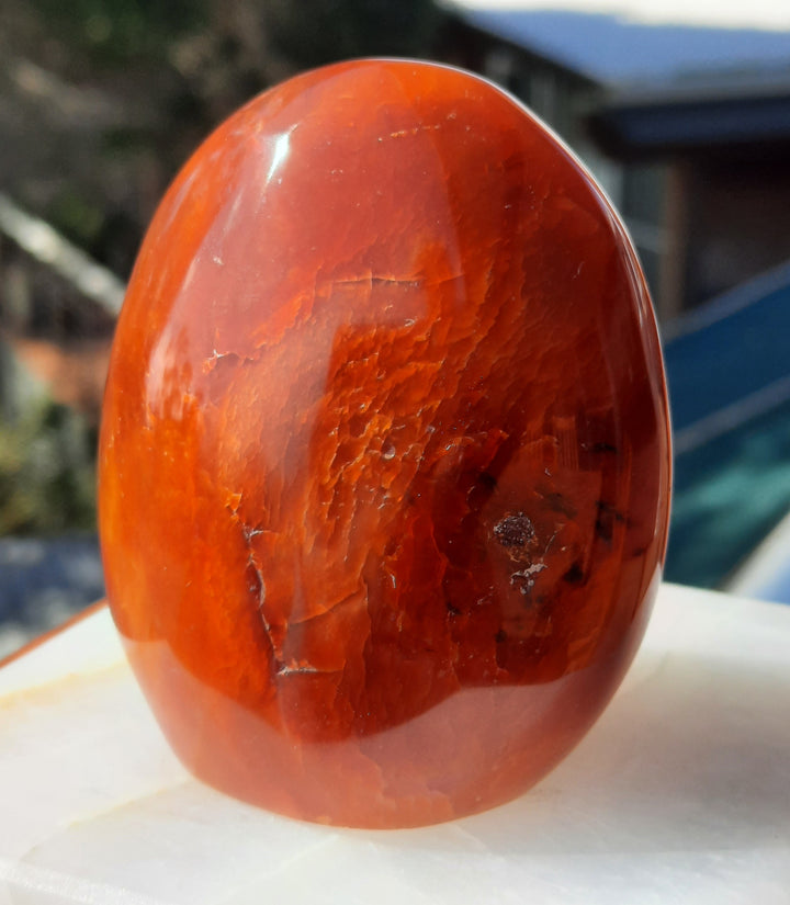 Carnelian (259 grams) STZ19