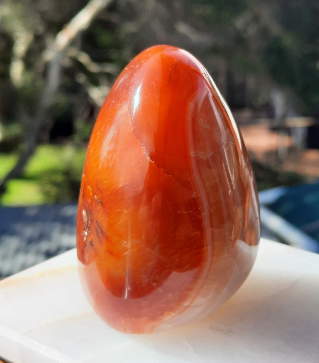 Carnelian (259 grams) STZ19