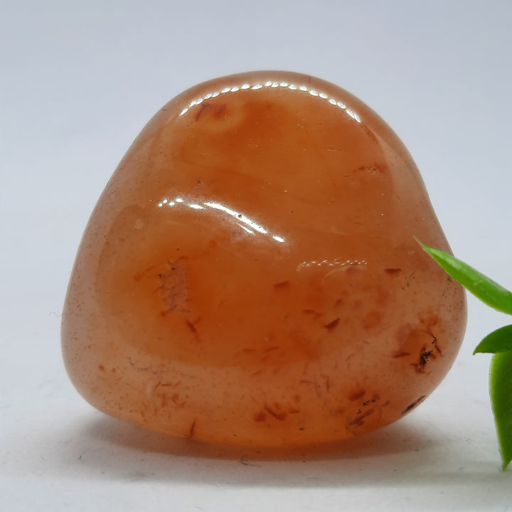 Carnelian Tumble Stone (27g) CRN3