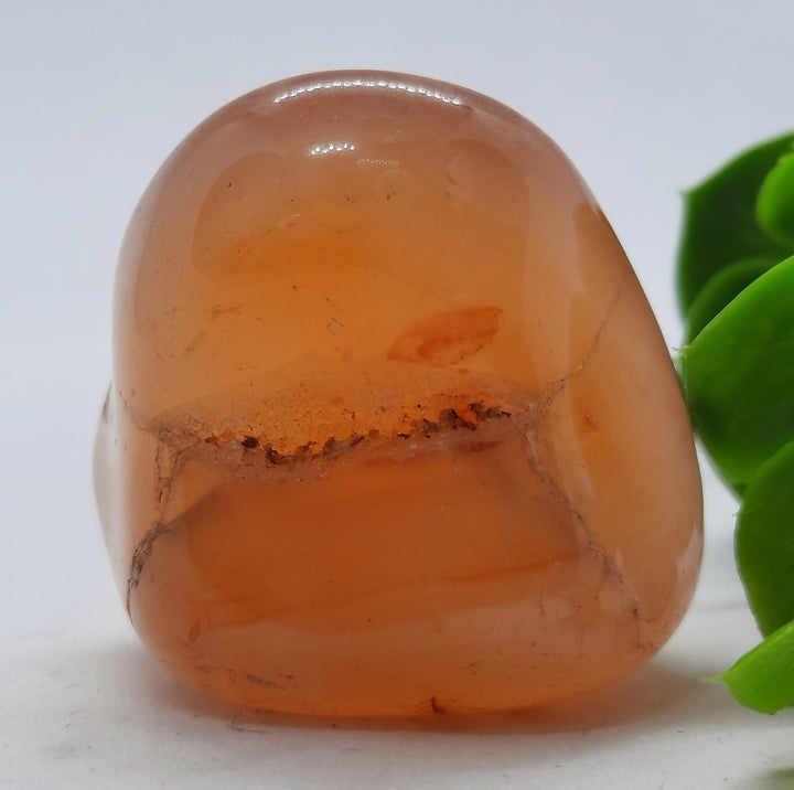 Carnelian Tumble Stone (27g) CRN3