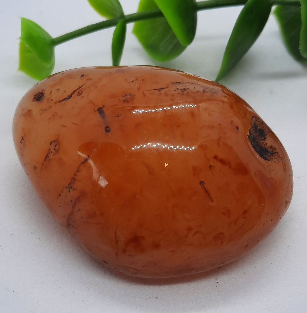 Carnelian Tumble Stone (30g) CRN2