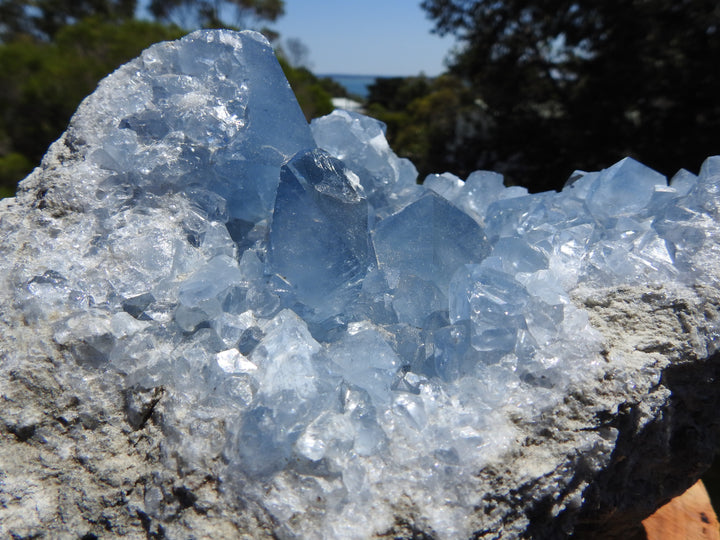 Celestite Large Cluster (3.278 Kilograms.)