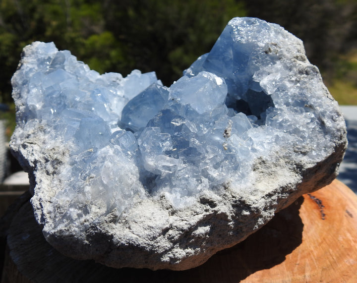 Celestite Large Cluster (3.278 Kilograms.)