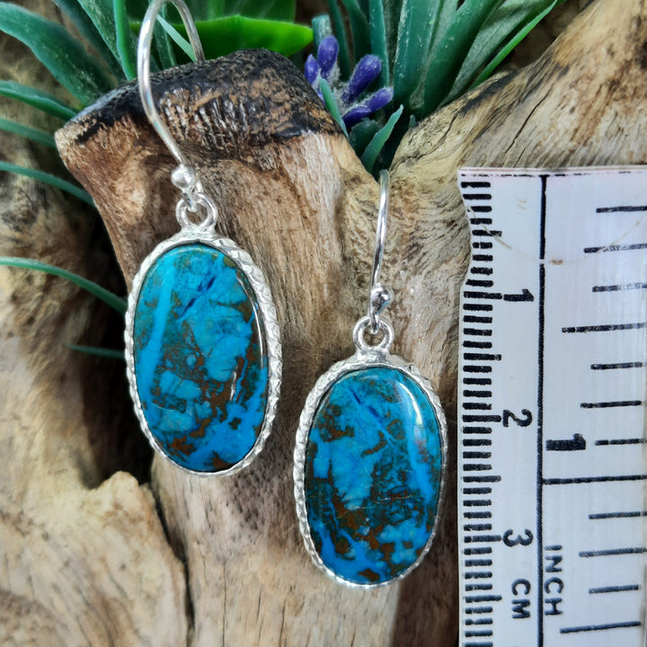 CHRYSOCOLLA EARRINGS GS2533