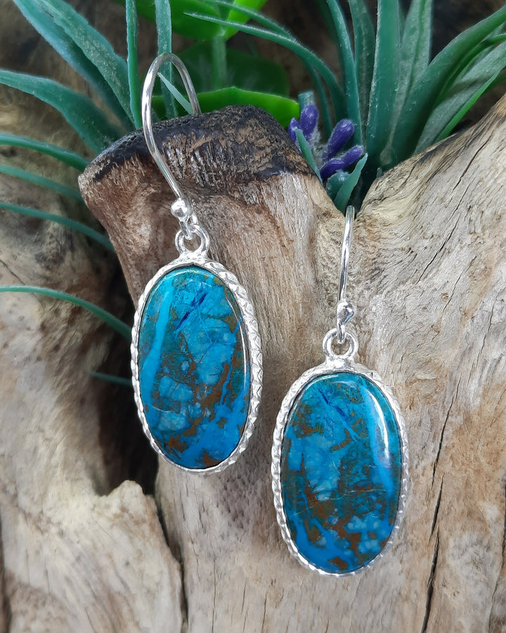 CHRYSOCOLLA EARRINGS GS2533