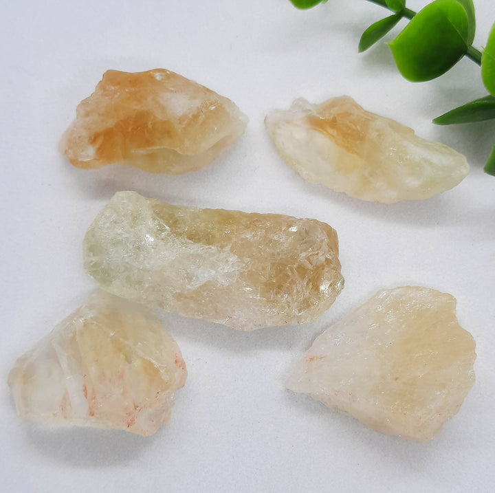 Citrine Rough (5 Pack)