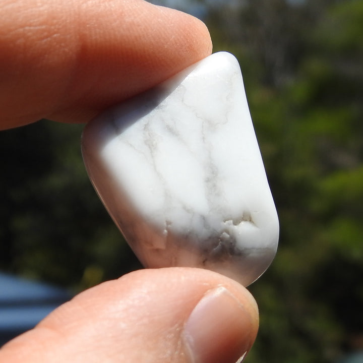 Howlite Tumble Stone (7g) HWL1