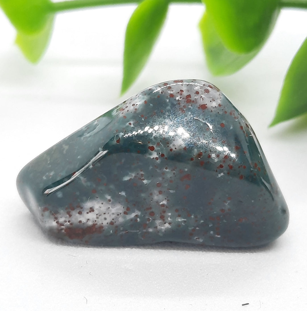 Bloodstone Tumbler Stone (5g) BS3