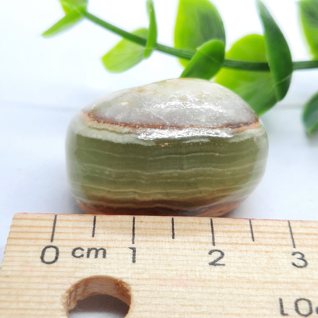 Green Onyx Tumbler Stone (19g) GOX1