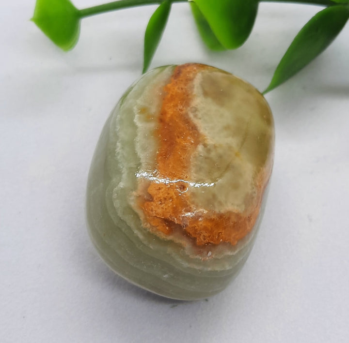 Green Onyx Tumbler Stone (19g) GOX1