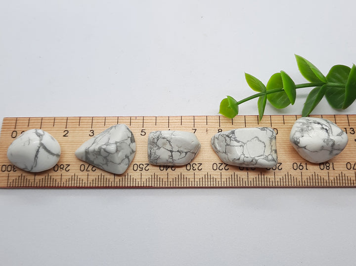 Howlite (5 pack)