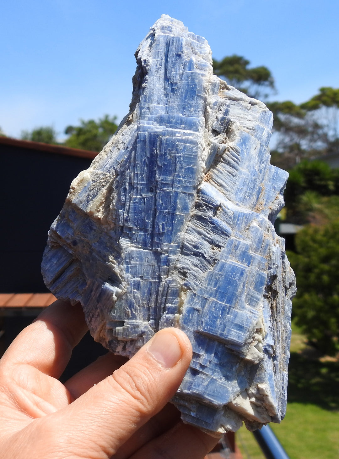 Blue Kyanite (1.150 Kilograms) 18cm