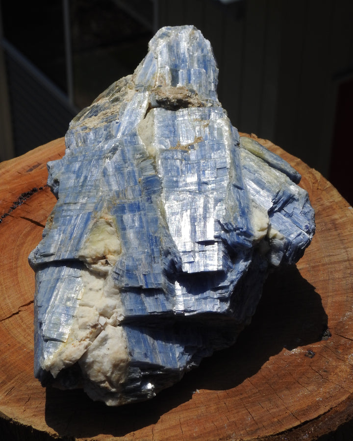 Blue Kyanite (1.150 Kilograms) 18cm