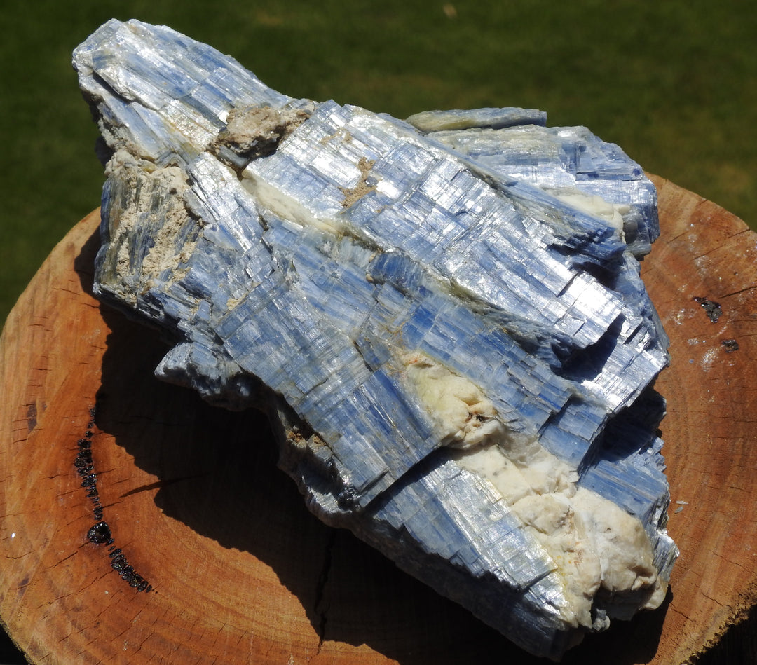 Blue Kyanite (1.150 Kilograms) 18cm